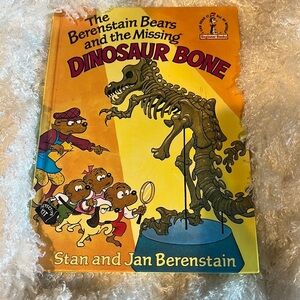 The Berenstein bears vintage book